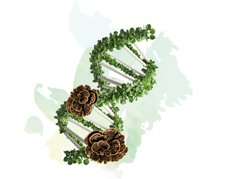 BIO4FUTURE
